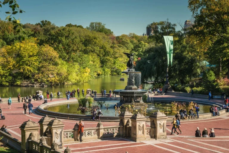 Central Park Crowded